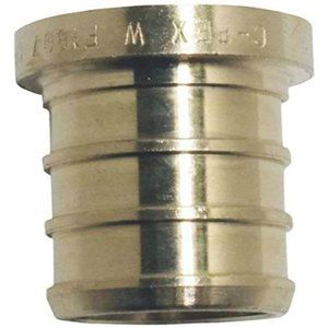 Plug Pex Test 3/4 Inch Brass